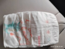 好奇（Huggies）皇家小龙裤纸尿裤L76片(9-14kg)尿不湿【30倍爆吸】 实拍图