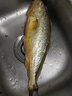 三都港 冷冻黄花鱼700g/2条装 宁德大黄鱼 深海鱼 生鲜 鱼类 海鲜 实拍图