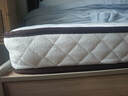 海马飞雪床垫席梦思天然椰棕乳胶独立弹簧床垫酒店厚薄双人家用榻榻米垫子 15cm双面款(乳胶+独立弹簧+椰棕) 1.2x2米 实拍图