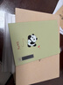 科大讯飞【熊猫花花IP联名款】智能办公本Air 2 8.2英寸电子书墨水屏平板电脑 手写笔记本 电纸书 送礼佳品 实拍图