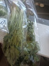 【一人食】香菜100g 实拍图