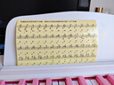贝琪（Betsy）B351电钢琴88键重锤成人儿童电子钢琴家用练习初学者专业考级钢琴 B350Pro-标准88键牛奶白粉键 实拍图