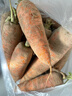京喜加新鲜现挖现发胡萝卜农家自种蔬菜水果沙地红萝卜 带泥胡萝卜5斤 含箱 实拍图