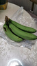 甜糯香蕉新鲜水果6号色食用最佳 青香蕉发货放软可吃放苹果催熟 专项带箱2斤净重1.5-1.6斤 香甜软糯 实拍图
