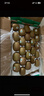 佳沛（zespri）新西兰  阳光金奇异果25-27粒原箱特大果单果约122-146g  猕猴桃 实拍图