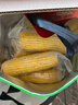 十月稻田 黄糯玉米 3.52斤(220g*8根) 东北粘苞米 早餐杂粮 蛇年限定 实拍图