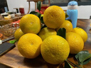 京觅江西赣南会昌桔柚4.5斤净重黄金贡柚甜橘子单果70mm+水果源头直发 实拍图