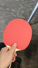 蝴蝶(Butterfly)波尔明星礼盒礼品拍横拍升级款高弹碳素纤维乒乓球拍 实拍图
