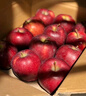山姆大叔正宗甘肃天水花牛苹果【顺丰速运-可送货上门】蛇红果面粉脆水果 A+大果（单果约70-75mm） 5斤装【80%选择-超划算】净4.5斤* 晒单实拍图