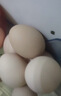 京鲜生可生食标准鲜鸡蛋30枚礼盒装3斤 源头直发 实拍图