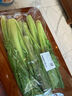 小白菜约250g 实拍图