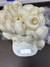 壹萌果蔬口蘑新鲜【顺丰冷链】双孢菇鲜菌菇白蘑菇菌菇口菇 【精选AA+级】2000g 实拍图