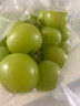 阳光玫瑰葡萄晴王青提香水提子山西新鲜水果一斤也是批发价 带箱2斤大果【单果克重10g-20g】（净重约1.5斤） 实拍图