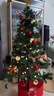 多美忆圣诞树套餐圣诞节装饰品家用商场酒店氛围布置红系豪华加密1.5米 实拍图