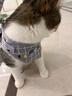 欢宠网猫咪牵引绳猫绳宠物防挣脱可调松紧背心式专用溜遛猫绳子外出用品 实拍图