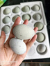 无铅松花皮蛋40g-50g溏心皮蛋农家散养鸭蛋溏心即食早餐买菜生鲜 10枚松花蛋【单枚40-50g】 实拍图