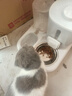甜浪海自动喂食器猫碗猫咪饮水机狗狗吃饭喝水大容量投食器宠物粮食盆 实拍图