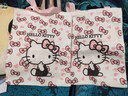 hellokitty卡通帆布包时尚包女手提袋可爱通勤百搭单肩上课大容量 粉色KT猫27*25cm 27.5*25cm 实拍图