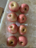 京鲜生 烟台红富士苹果 8粒装 单果160-190g 生鲜水果 实拍图