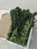 羽衣甘蓝新鲜生鲜蔬菜嫩叶甘兰芥蓝西餐沙拉榨汁减肥减脂 羽衣甘蓝减脂尝鲜装1斤 实拍图