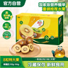 佳沛（zespri）新西兰阳光金奇异果 8个装 特大果单果重约122-146g 水果猕猴桃 实拍图