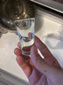 DKO水晶玻璃白酒杯套装分酒器100ml酒具高脚小酒杯家用饭店酒店商用 【6杯6壶】带把100ml+15ml子弹杯 实拍图