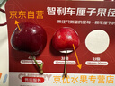 京鲜生智利车厘子5J级 5斤礼盒装 果径34mm+ 新鲜水果 源头直发 实拍图