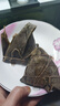 五芳斋粽子 蛋黄猪肉粽100g*6只 礼袋粽600g  中华老字号嘉兴特产 超1斤 实拍图