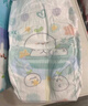帮宝适超薄透气清新帮透氧Pro婴儿纸尿裤尿不湿尿片尿布L46 实拍图