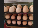 璞悠农家散养土鸡蛋 山林散养谷物喂养生鲜鸡蛋 新鲜无腥味土鸡蛋 土鸡蛋50枚 晒单实拍图