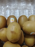 佳沛（zespri）新西兰 阳光金奇异果12粒礼盒特大果单果约122-146g 猕猴桃 水果 实拍图