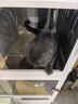 蔻丝猫笼子隔离厕所一体适合大猫透明猫别墅大号家用猫柜 实拍图
