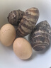 初土记有机土鸡蛋2.5斤纯粮散养 新鲜鸡蛋 30枚土鸡蛋礼盒 原产地直发 实拍图