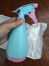 喷壶小型喷壶器浇花洒水壶糖果色喷壶喷水工具 糖果蓝色（1个装） 实拍图