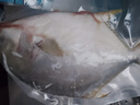 翔泰海南深海金鲳鱼700g 2条 火锅 生鲜鱼类 BAP认证 海鲜水产  实拍图
