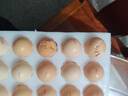京鲜生柴鸡蛋30枚 3斤 无抗生素 谷物喂养鲜鸡蛋 源头直发 实拍图