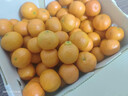 京鲜生 正宗广西砂糖橘净重4.5斤 单果35-55mm 精品果  源头直发包邮 实拍图