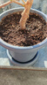漫生活56L营养土通用型 花土有机土进口泥炭土种菜土多肉兰花种植土壤 实拍图