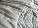 京东京造100%天然新疆棉花被 纯棉被芯双人被子 秋冬被6斤2x2.3m 实拍图