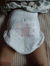 泰迪熊（Teddy Bear）自在无痕拉拉裤3XL22片（17公斤以上）婴儿尿不湿裸感超薄成长裤 实拍图