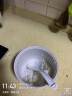 拓几（TOTIKI）蒸笼电饭煲mini迷你多功能小型家用智能饭锅婴儿宿舍旅行蒸煮预约保温 1.2L麦饭色涂层+低糖胆（中国红） 1.2L 实拍图