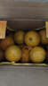 青舞正宗广东德庆皇帝柑贡柑新鲜水果精选大果非沃橙橘桔子装孕妇水果 10斤礼盒装甄选特大果（净9.2斤） 实拍图