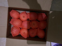 京鲜生 陕西洛川苹果红富士 净重8斤 单果180g-220g 生鲜水果 实拍图