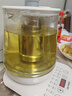 天际（TONZE）养生壶家用1.8L 多功能花茶壶办公室小型高硼硅玻璃热水壶 高硼硅玻璃丨智能预约丨 1.8L 大容量 实拍图