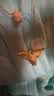 曼卡龙黄金吊坠爱河守望小天使足金挂坠计价送女友礼物   4.36g 实拍图