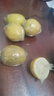 广东香水黄柠檬包邮新鲜水果柠檬精选皮薄奶茶店专用整箱 现货 黄香水柠檬6粒装  单果70g+ 实拍图