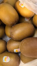 佳沛（zespri）新西兰  阳光金奇异果25-27粒原箱特大果单果约122-146g  猕猴桃 实拍图