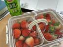 禧天龙pet保鲜盒手提便携水果盒大容量保鲜食品级户外露营野餐盒 中号 实拍图