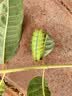 林氏家居餐边柜靠墙一体柜子置物柜储物柜斗柜玄关柜茶水柜RU1T满额赠 实拍图