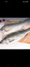 仙泉湖冷冻白蕉海鲈鱼2斤 肉厚刺少生鲜水产食材1斤*2条 生鲜食材 实拍图